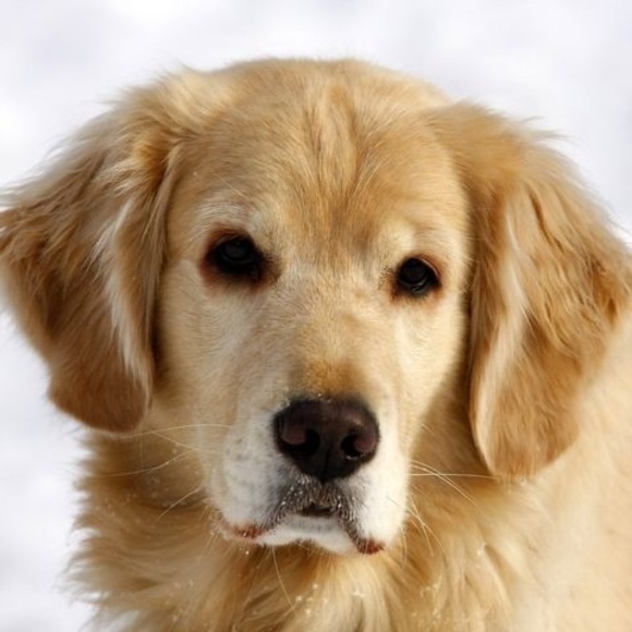 Meet your Posher, Stephen - Picture 1 of 1